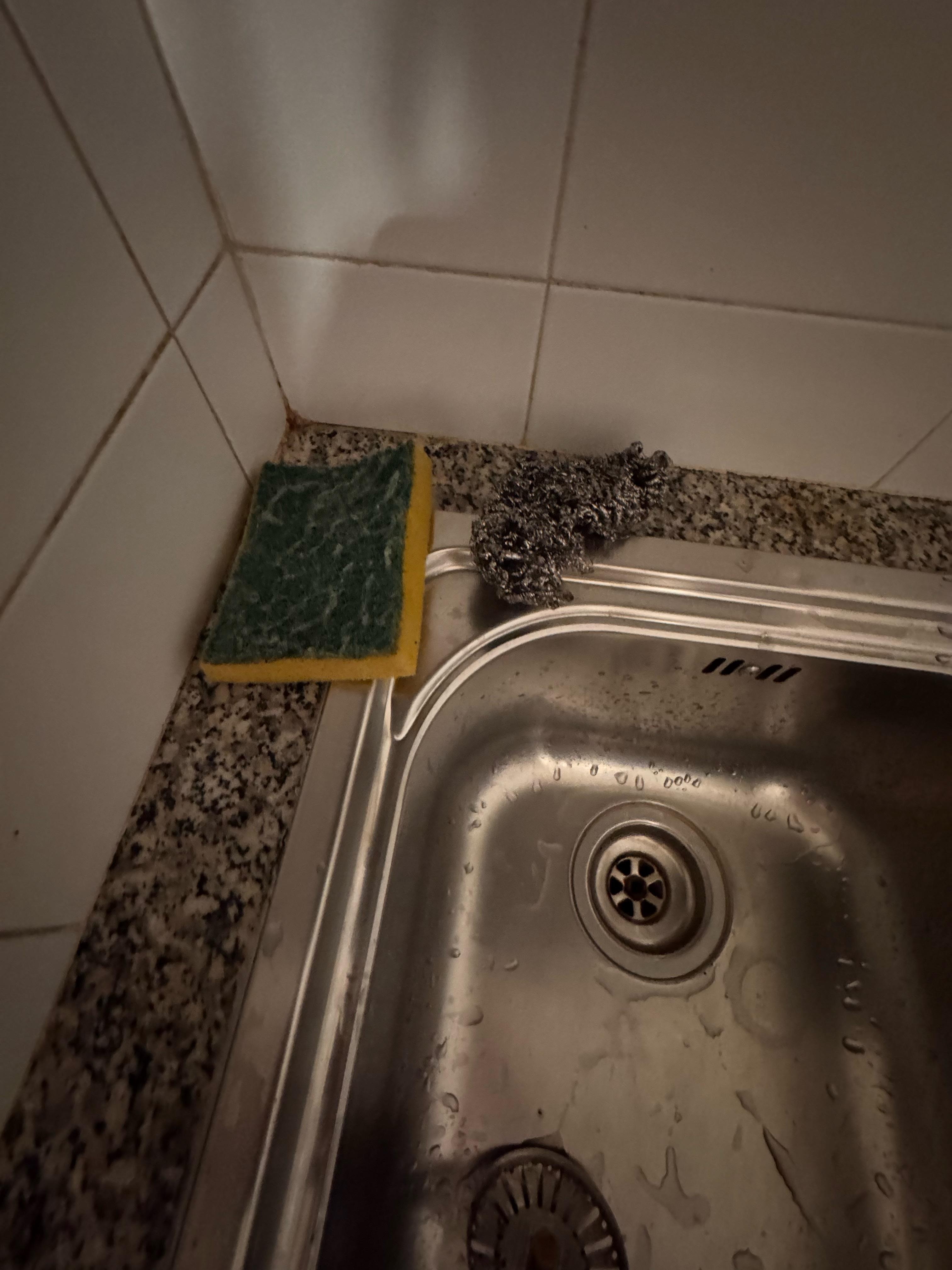 Used kitchen sponges