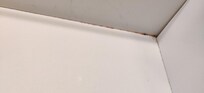 Gross orange edge of sink