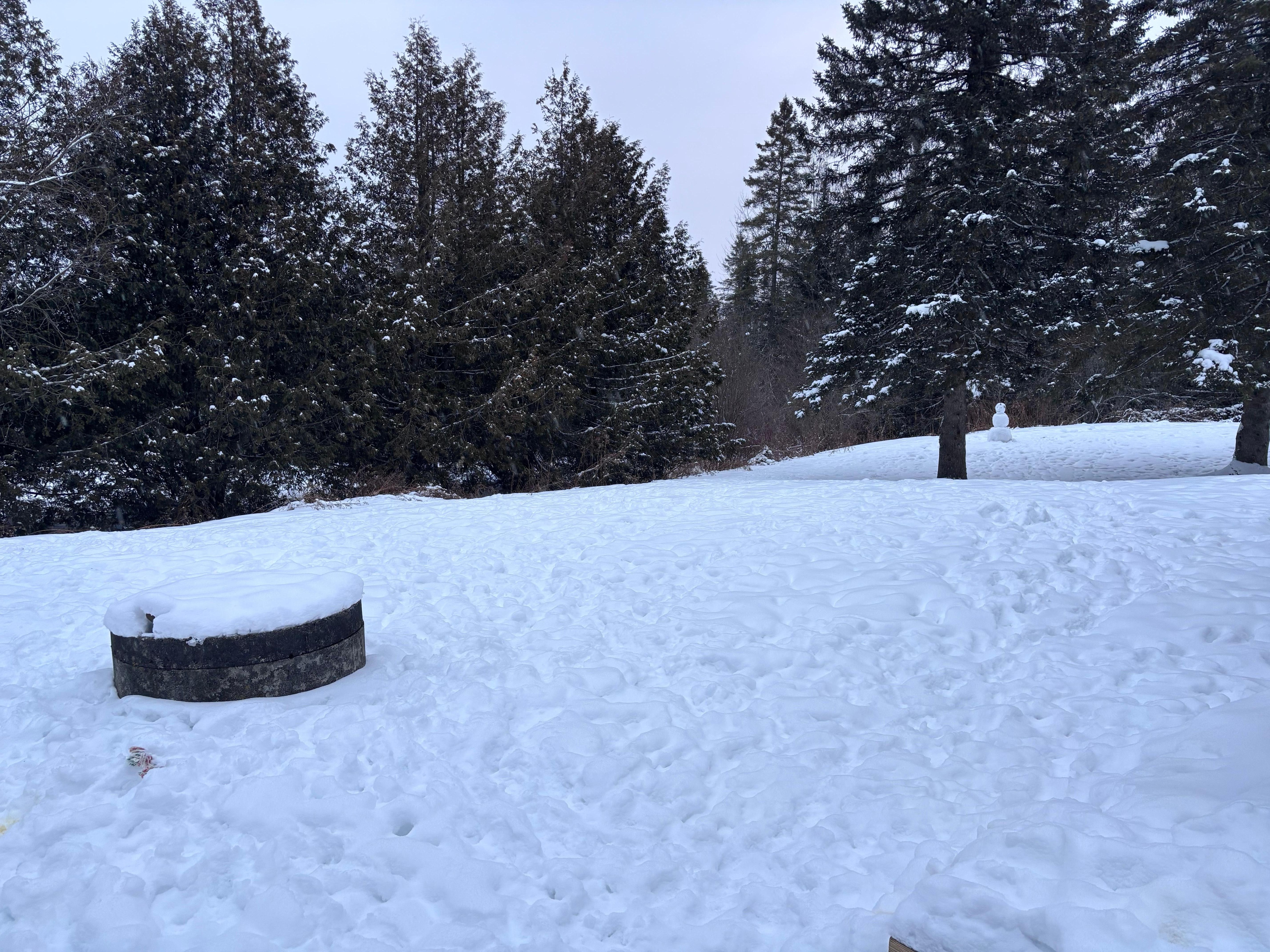 Large yard with a snowman