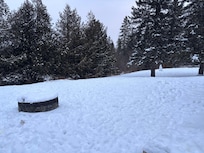 Large yard with a snowman