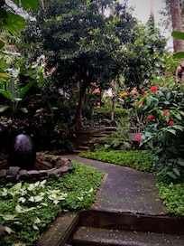 Everything was lush and green.
