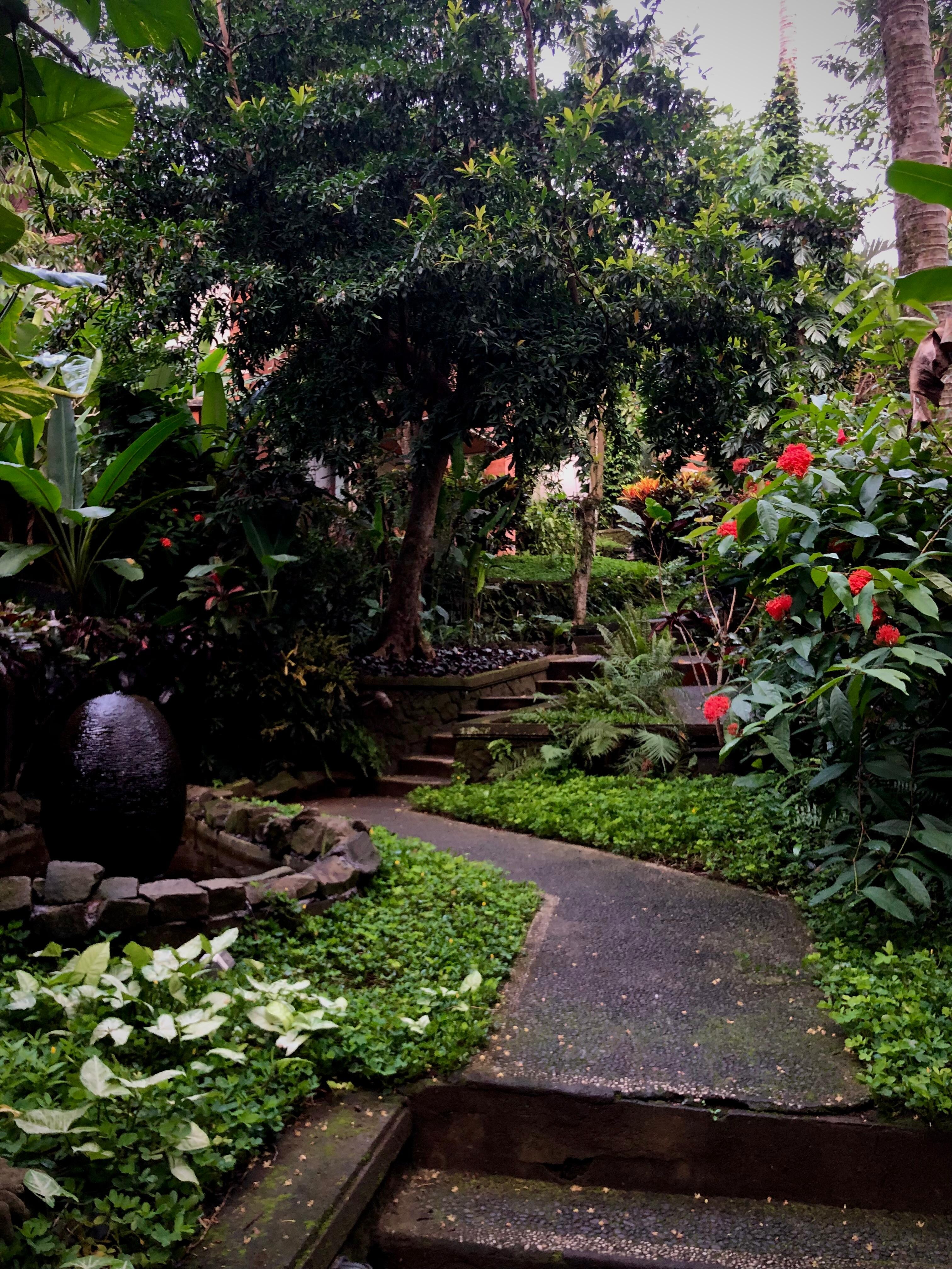Everything was lush and green. 