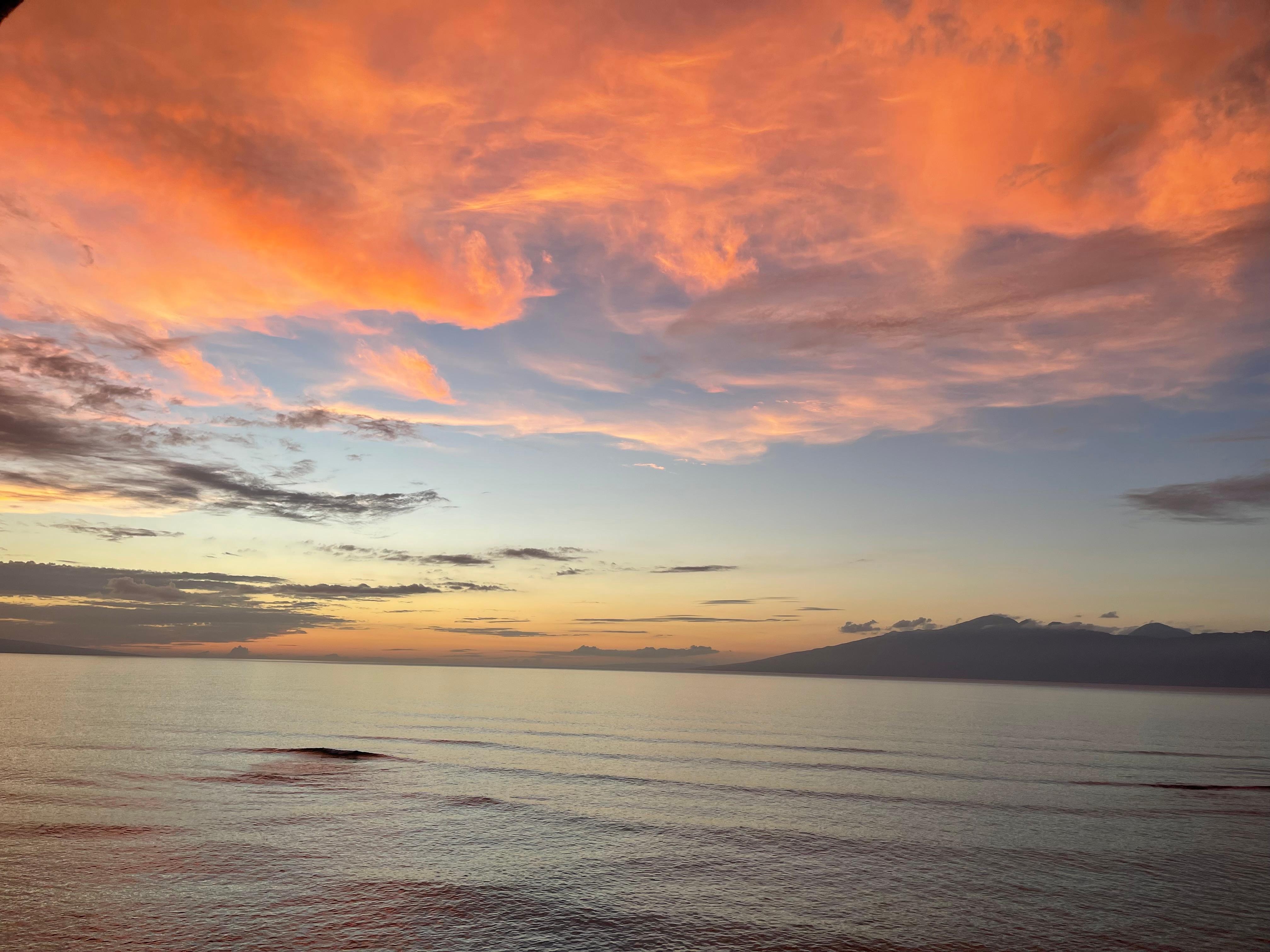 Last nights sunset was spectacular! 