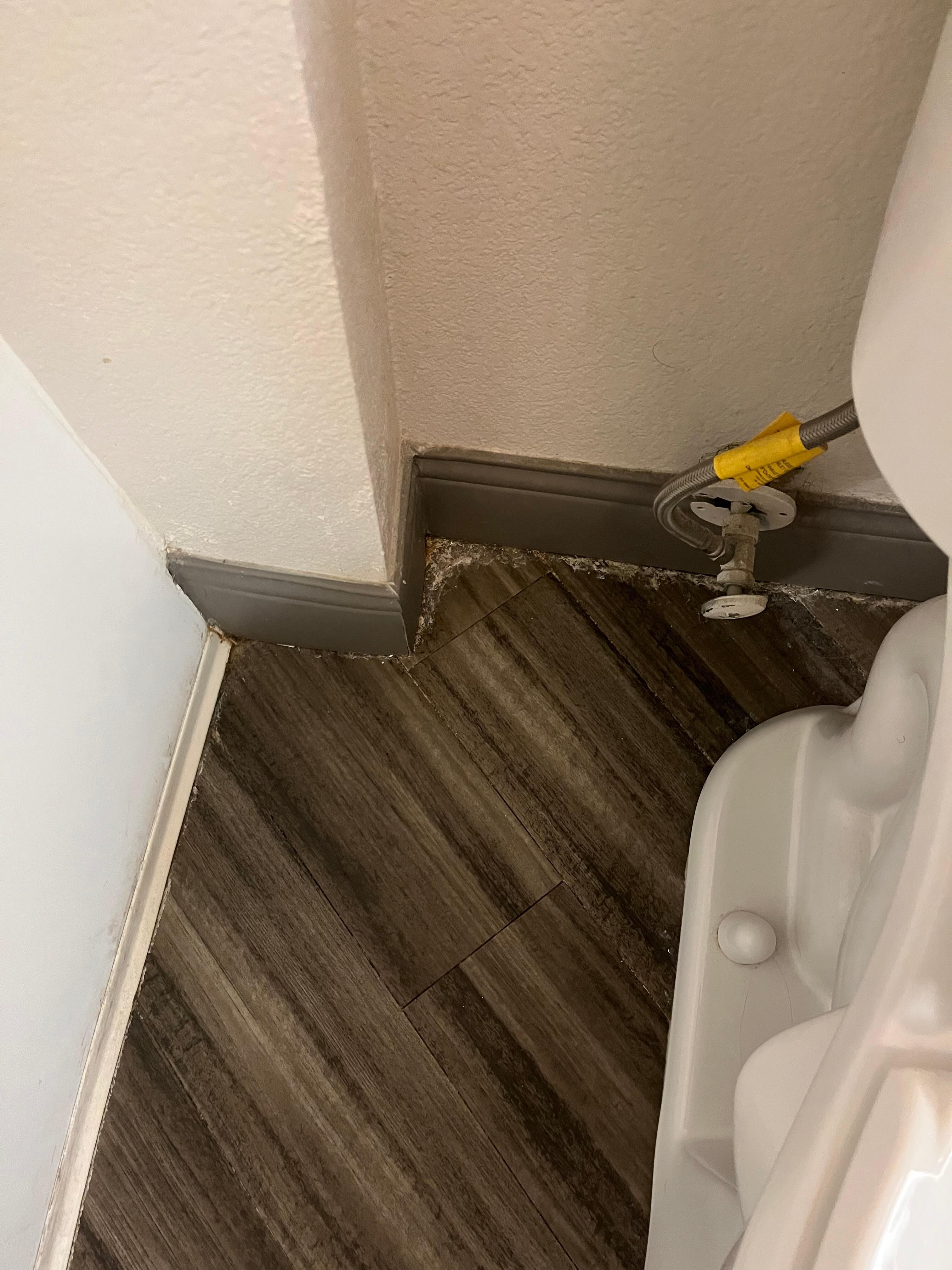 Dirt in most corners everywhere. Elevator had damage and graffiti on door but photo too large to post