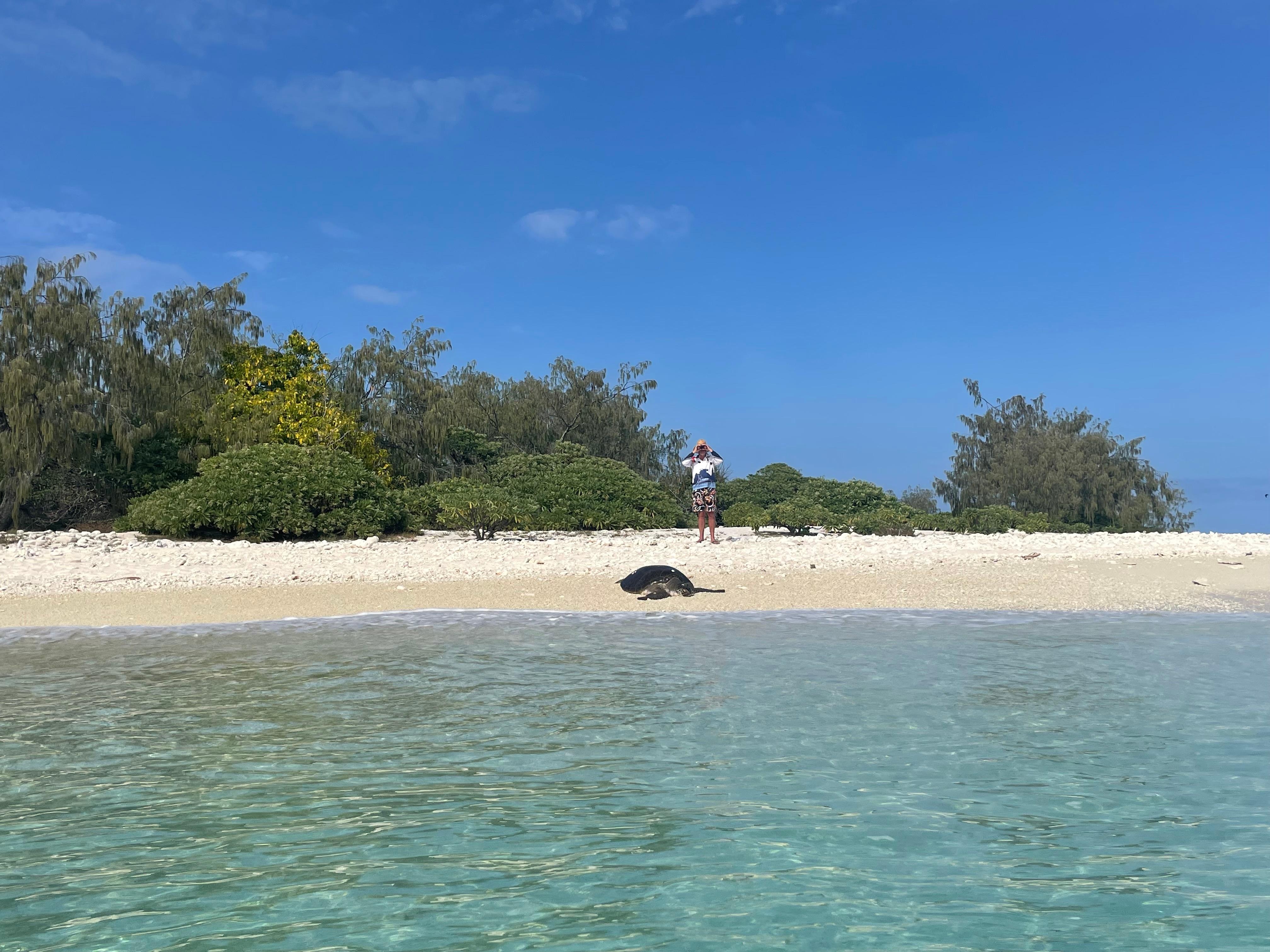 Clear water and skies