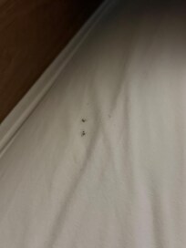This was on the sheets