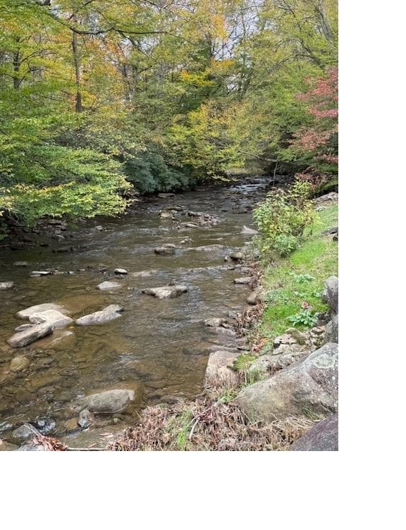 Stream on the property. Peaceful.