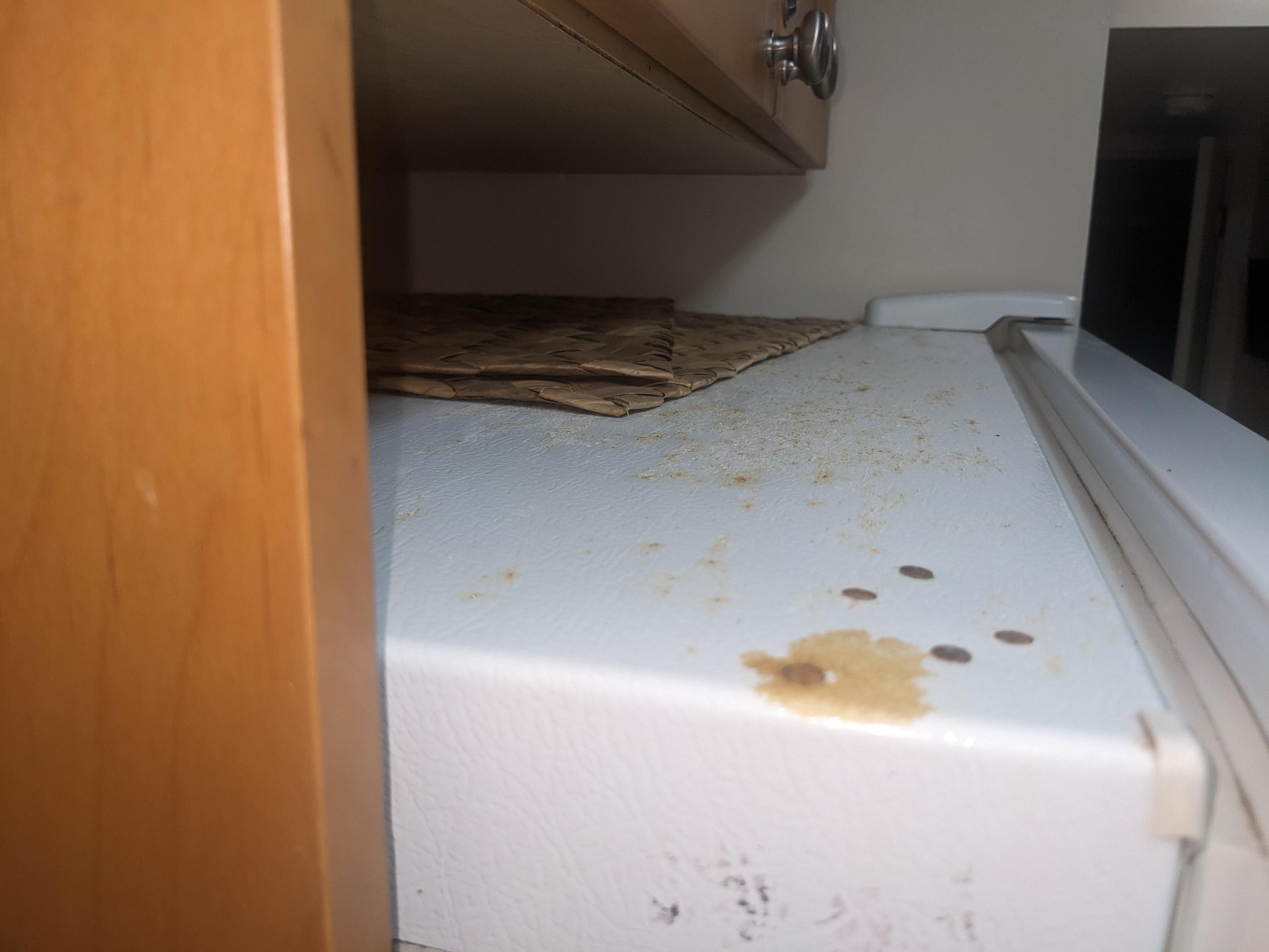 refrigerator top