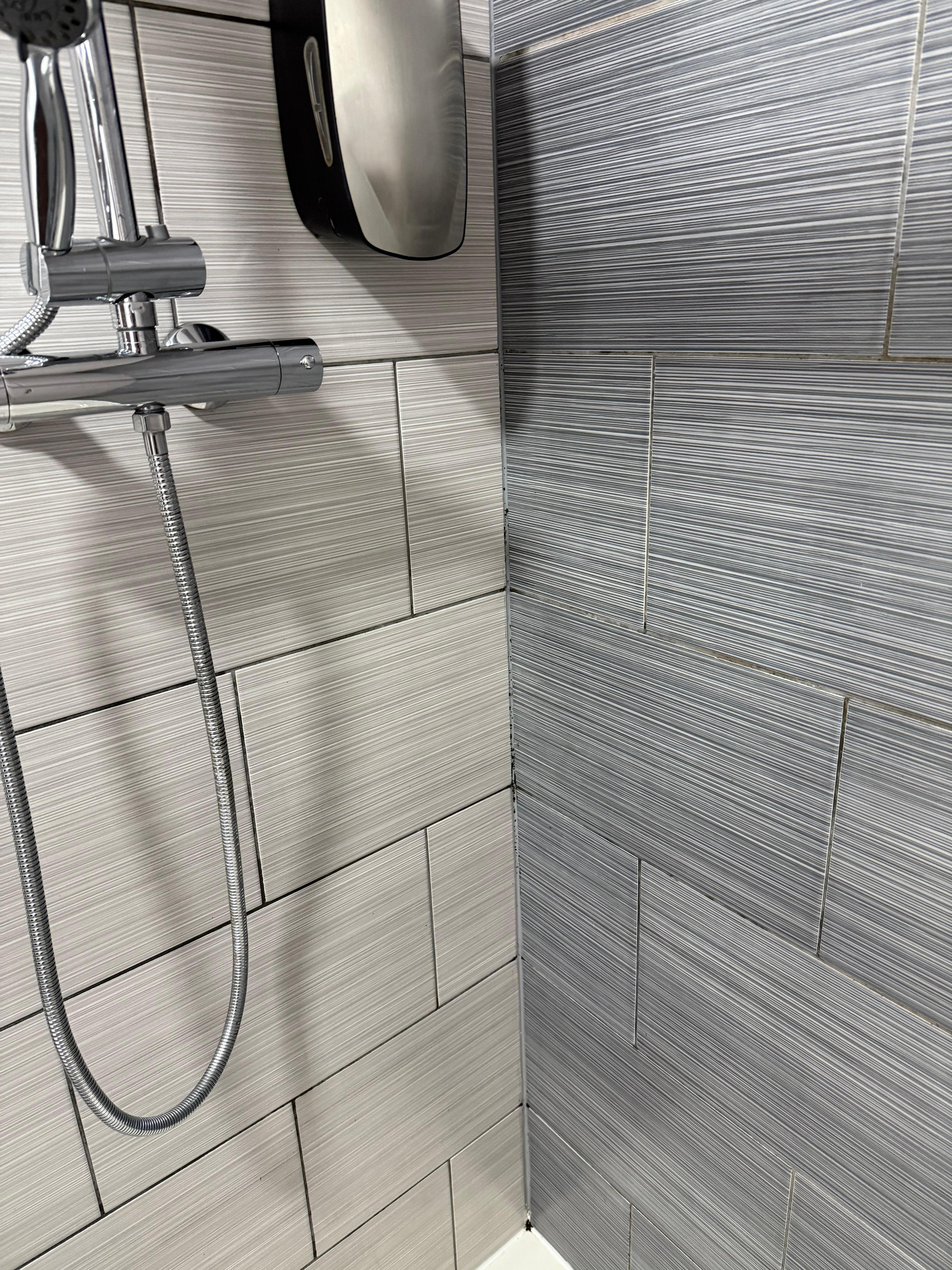Mould in the shower