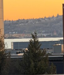 From the rooftop patio!