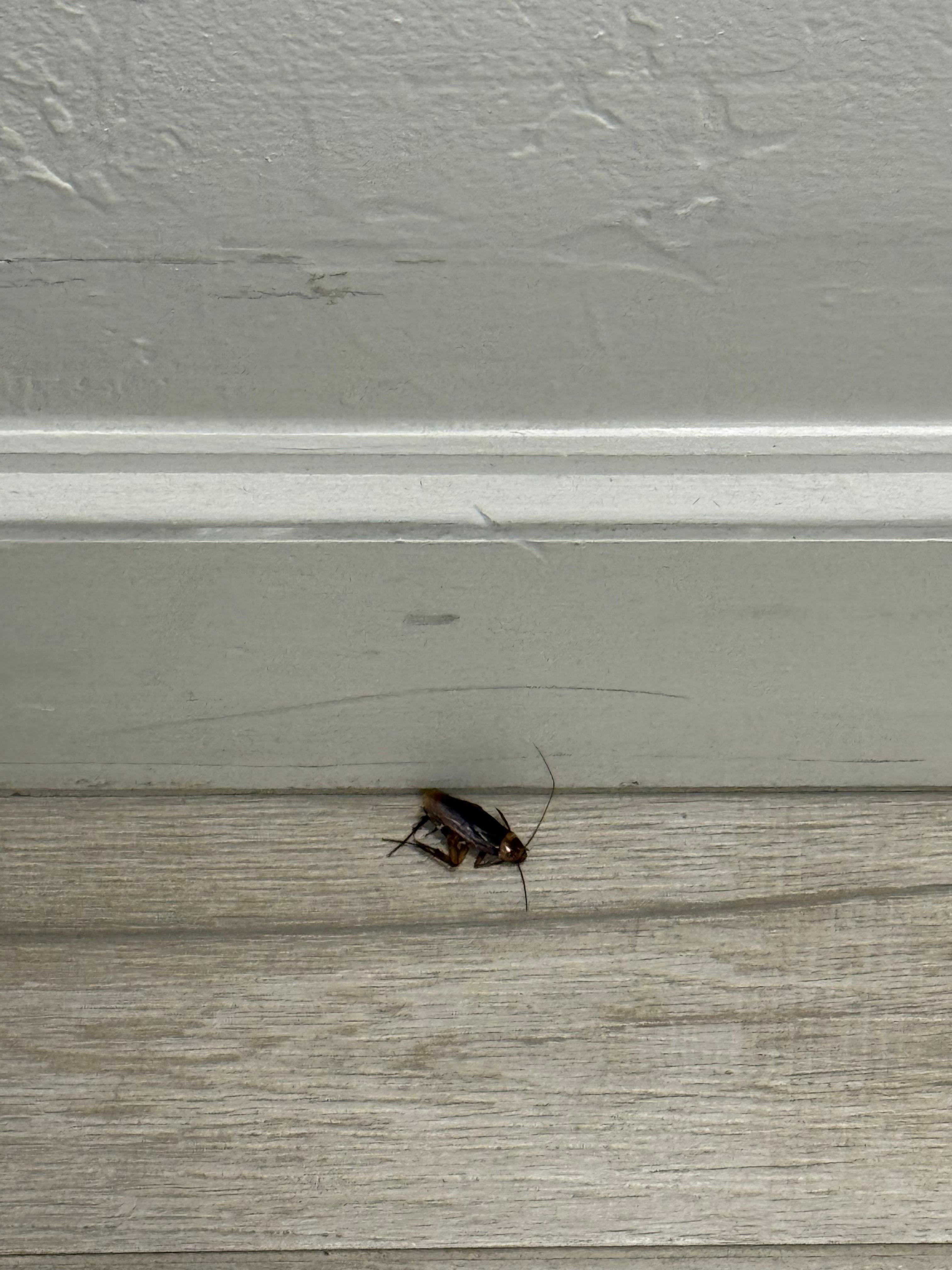 This was right out our door on the 3rd floor