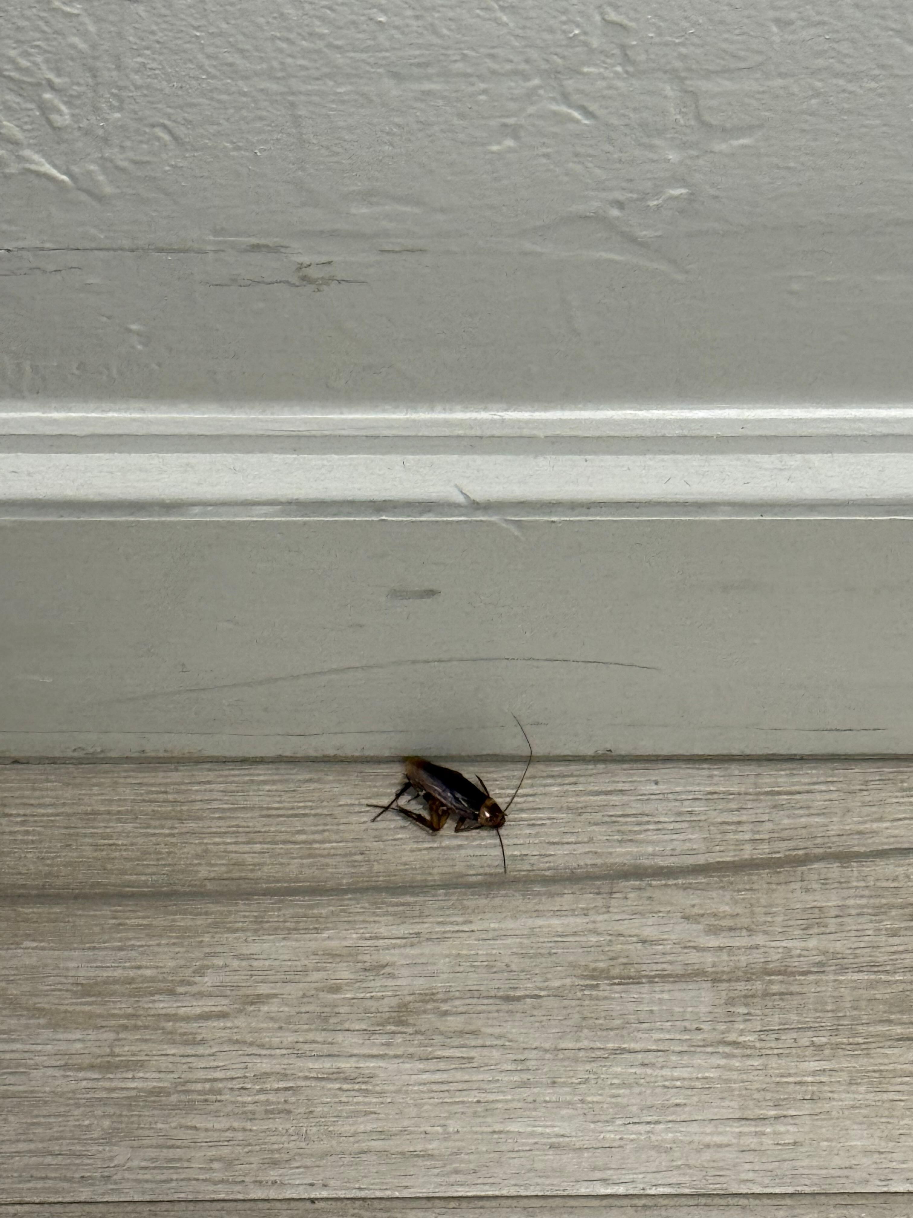 This was right out our door on the 3rd floor