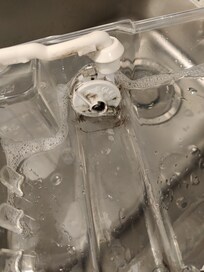 Moldy ice maker
