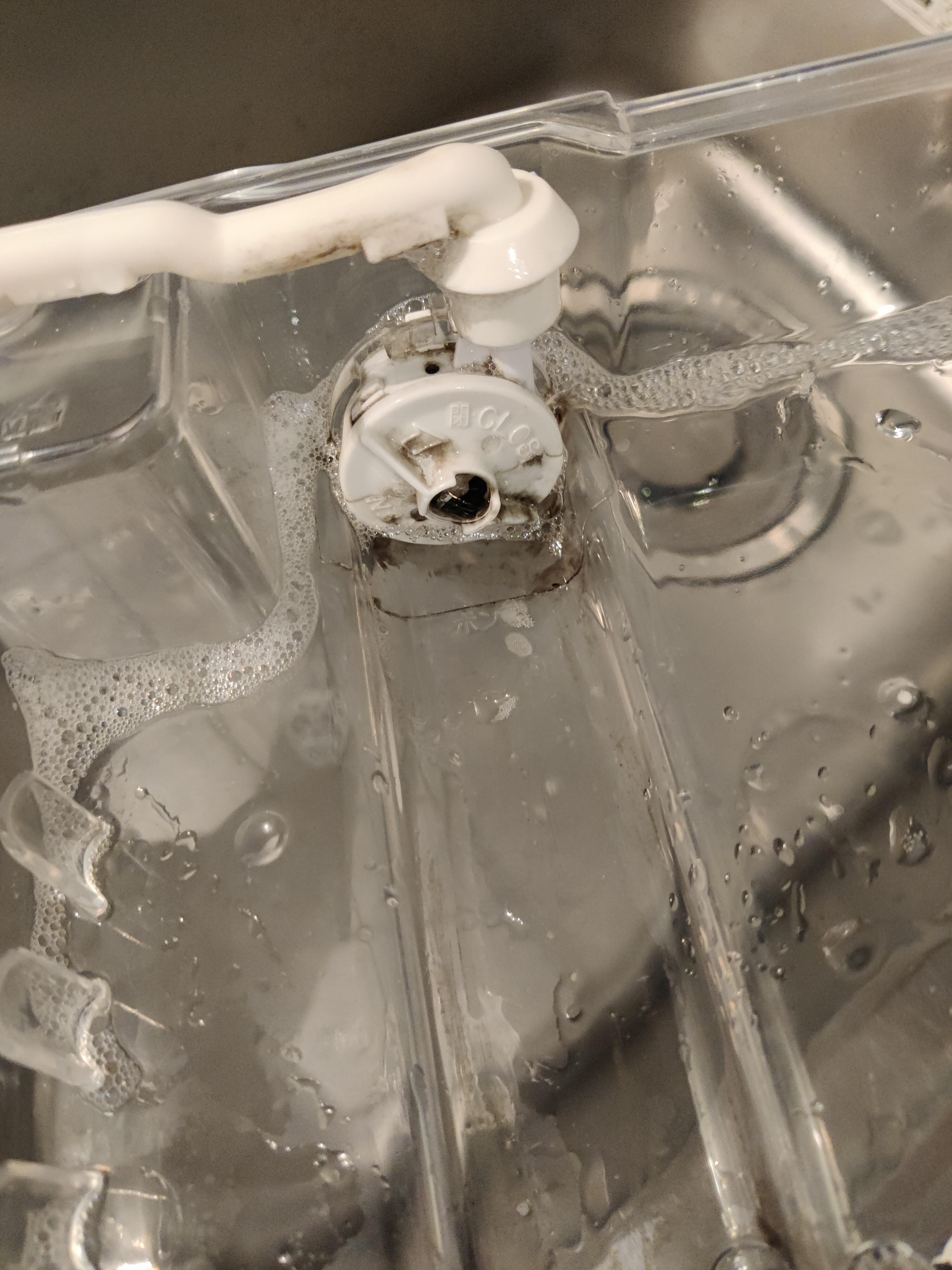 Moldy ice maker