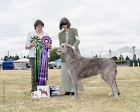 This is our dog Sorcha who won 1 better than Best in Show because all the competition were Irish Wolfhounds on lucky Friday the 13th 2025.