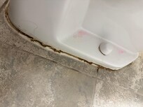 Caulk was disgusting and I think that was cleaner still on the toilet?