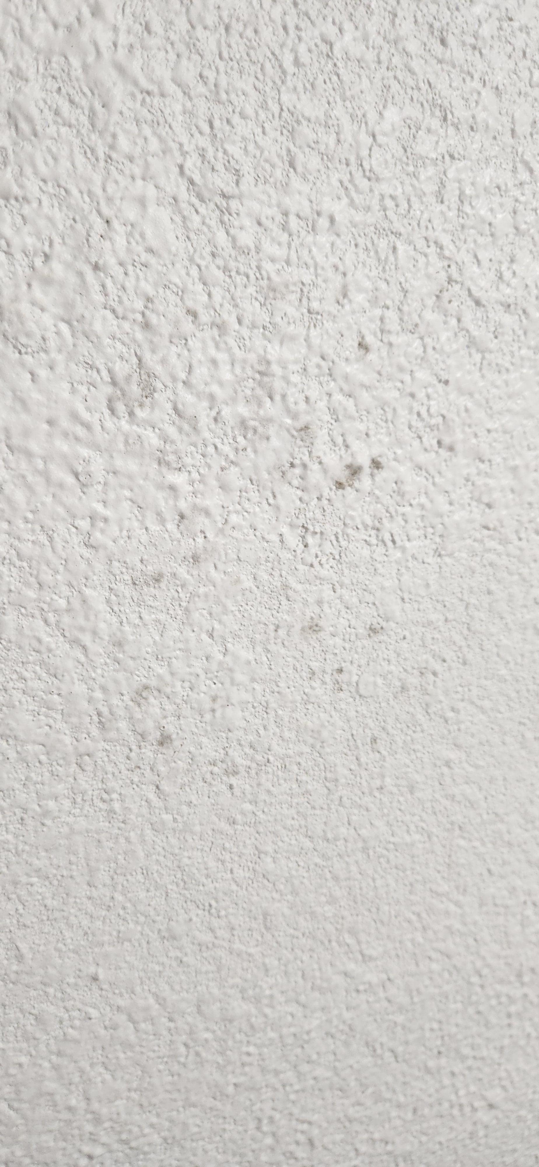 Black Mold