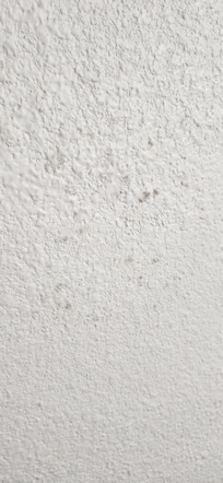 Black Mold
