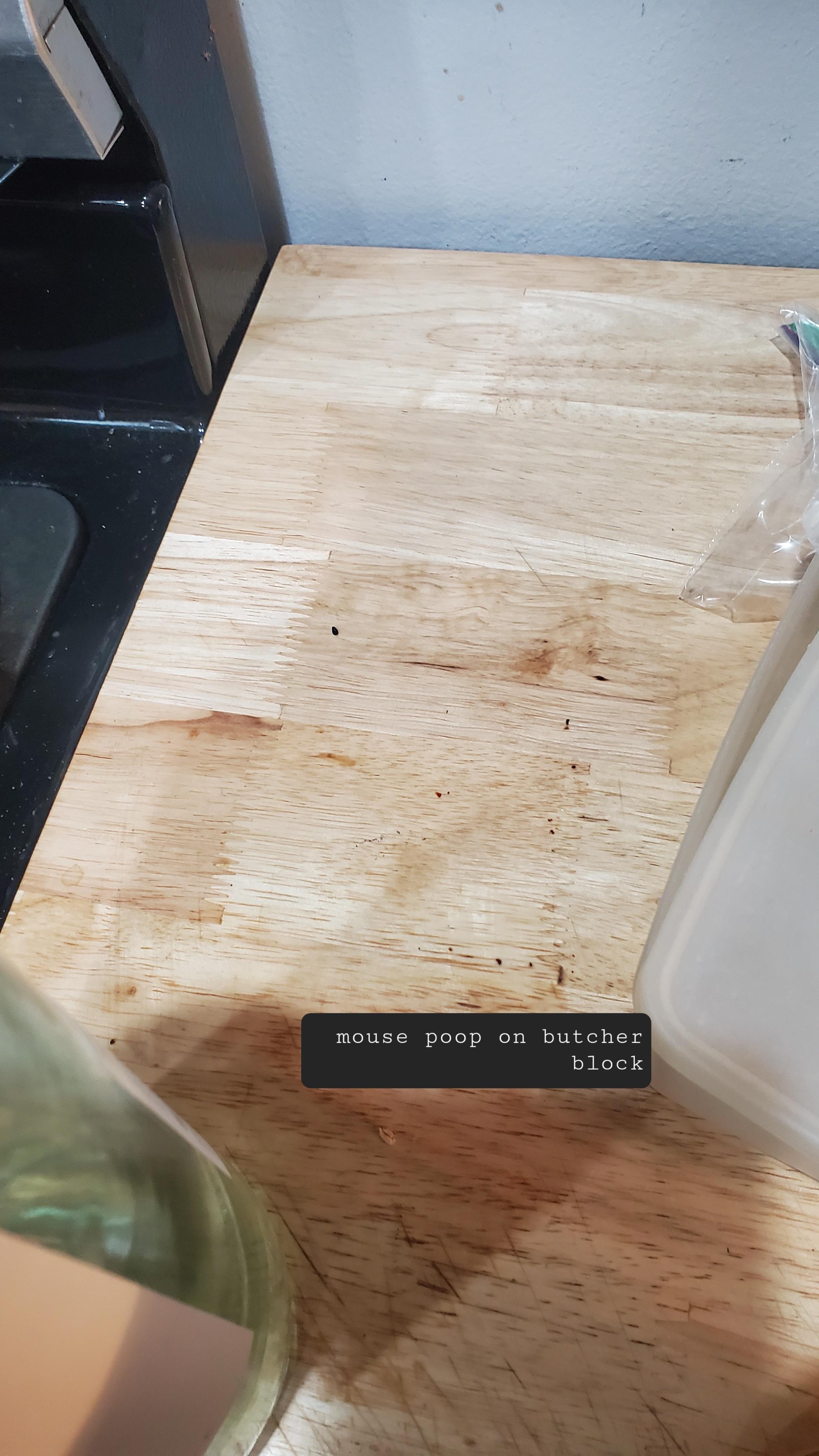 Mouse poo on butcher block