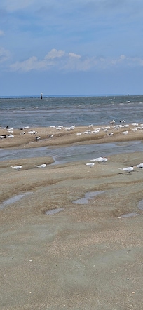 Beautiful quite North Tybee Beach