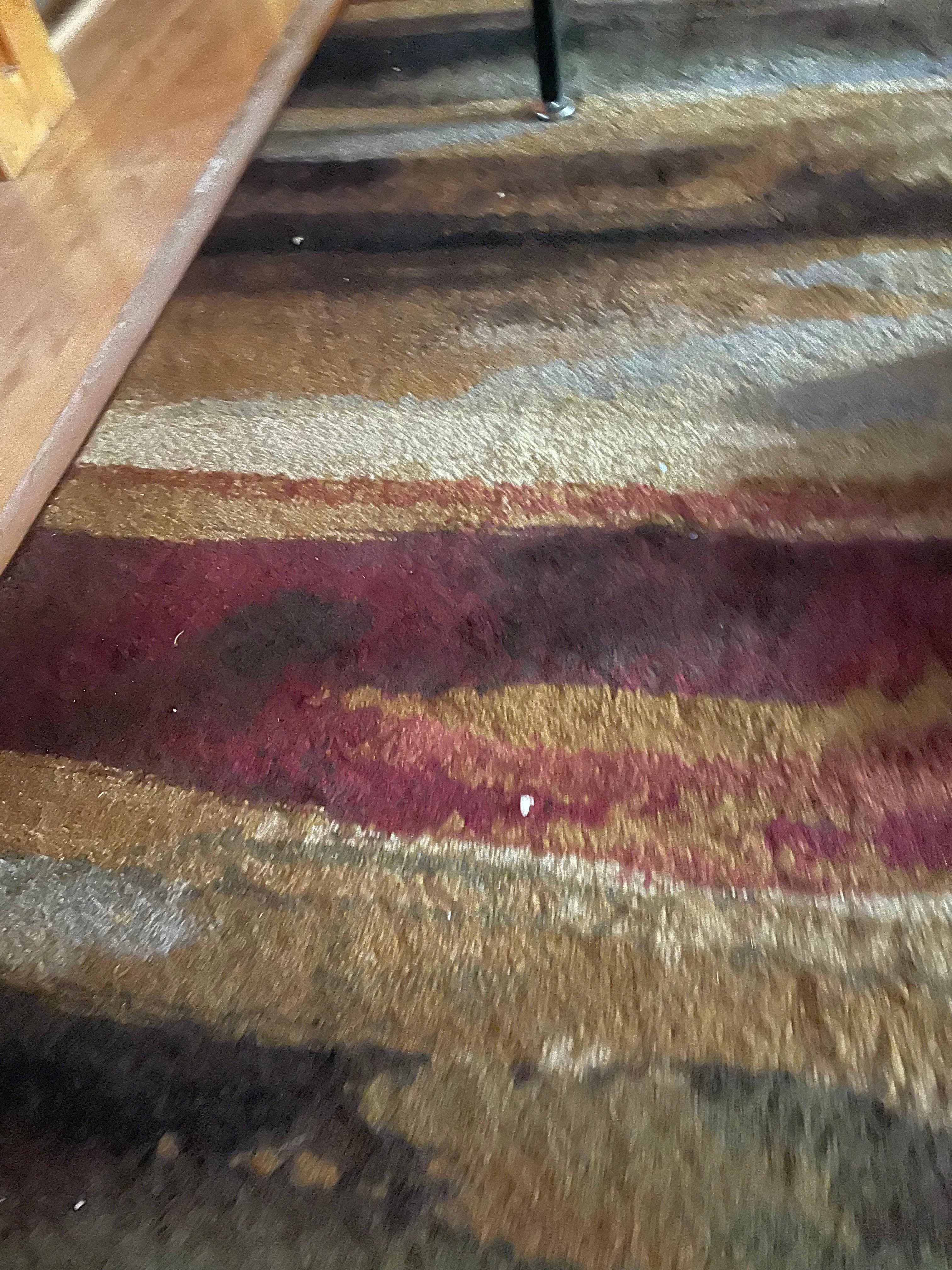 Food a dirt on rug in living room 