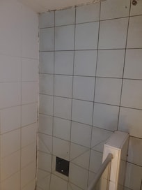 Mold in the bathroom and dirt on the floor. Drain is not a barhroom drain bur a garden one.