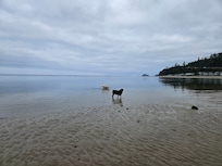 Plenty of places to run.