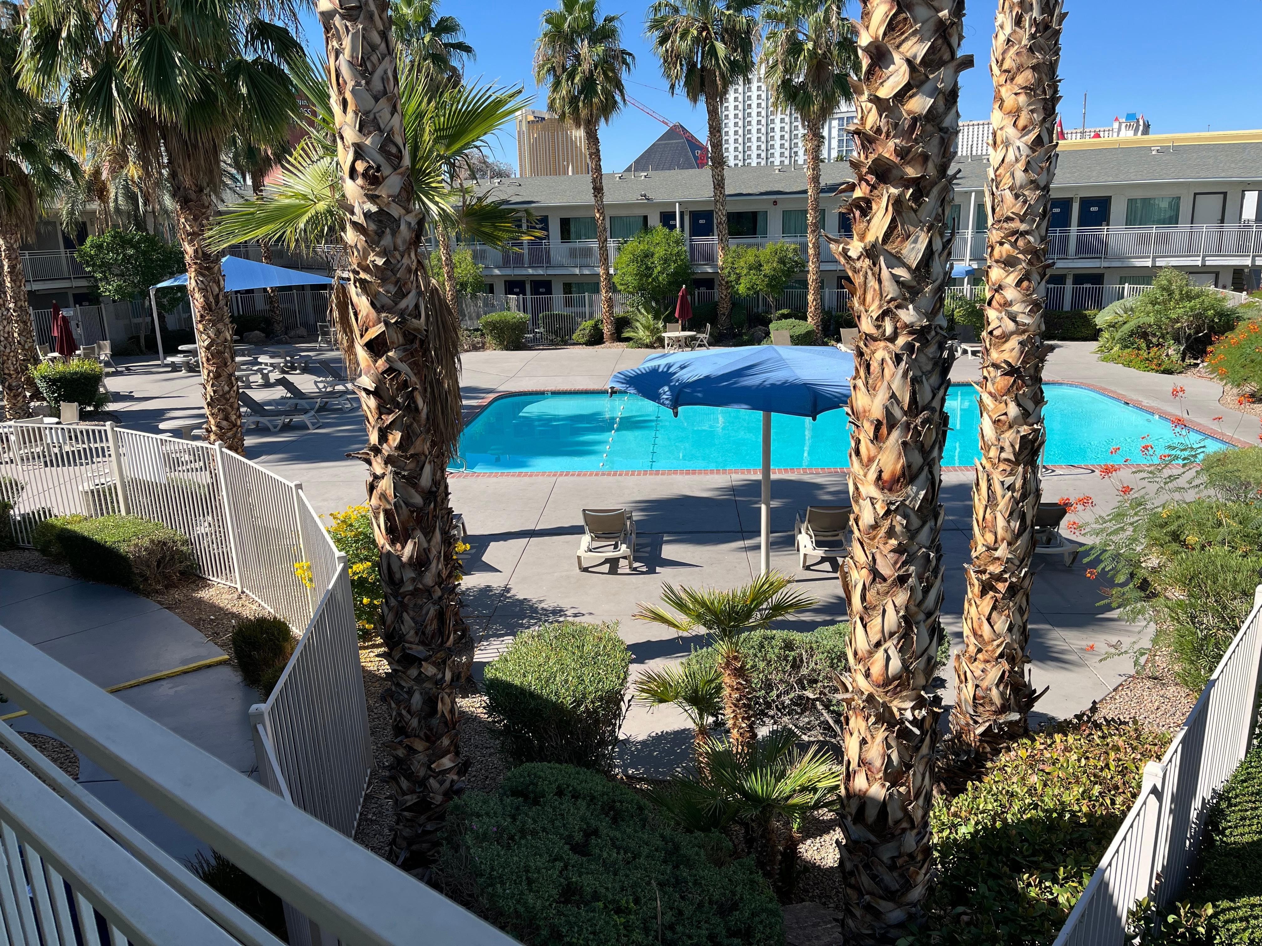 Well groomed plants in the pool area