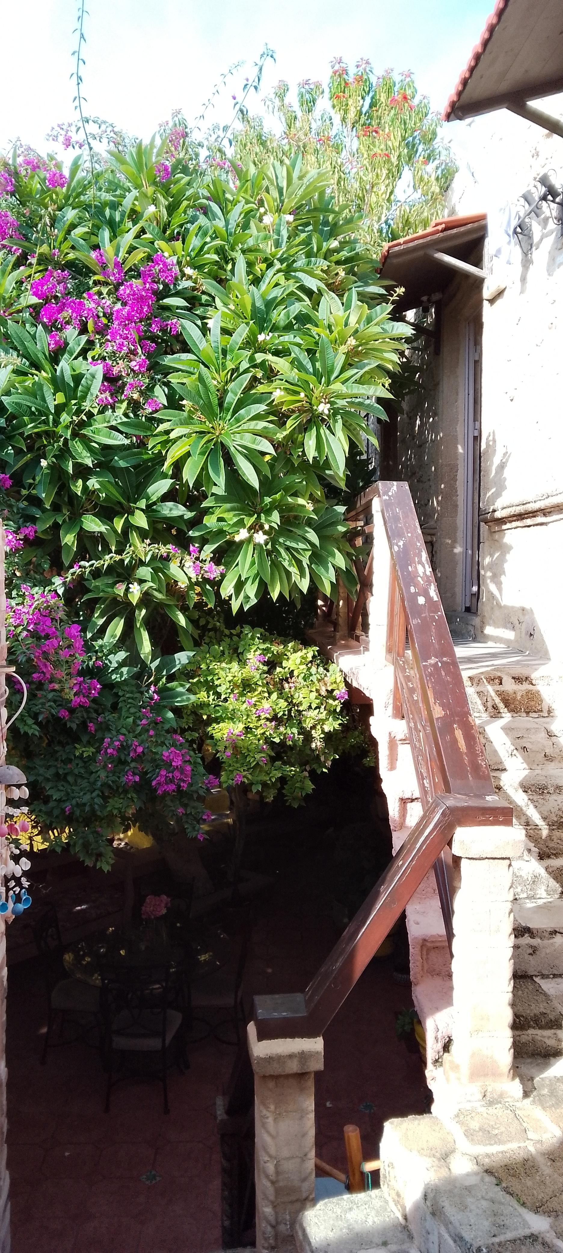 To the upstairs bedrooms