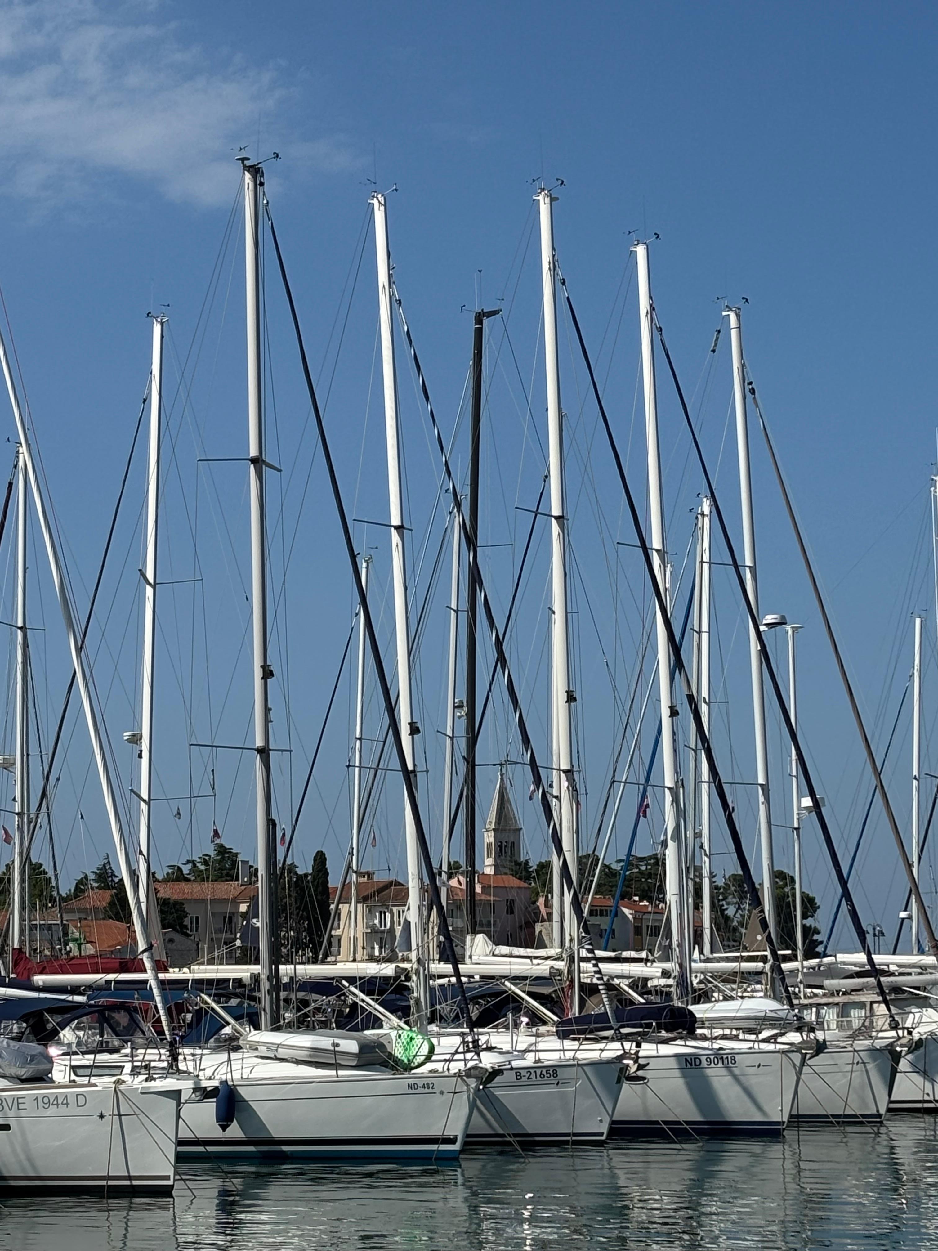 Utsikt fra rom med sjøutsikt.