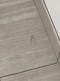 Hair. Not one or two, and not in just one place.