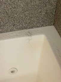 Hair in the tub. (not ours)