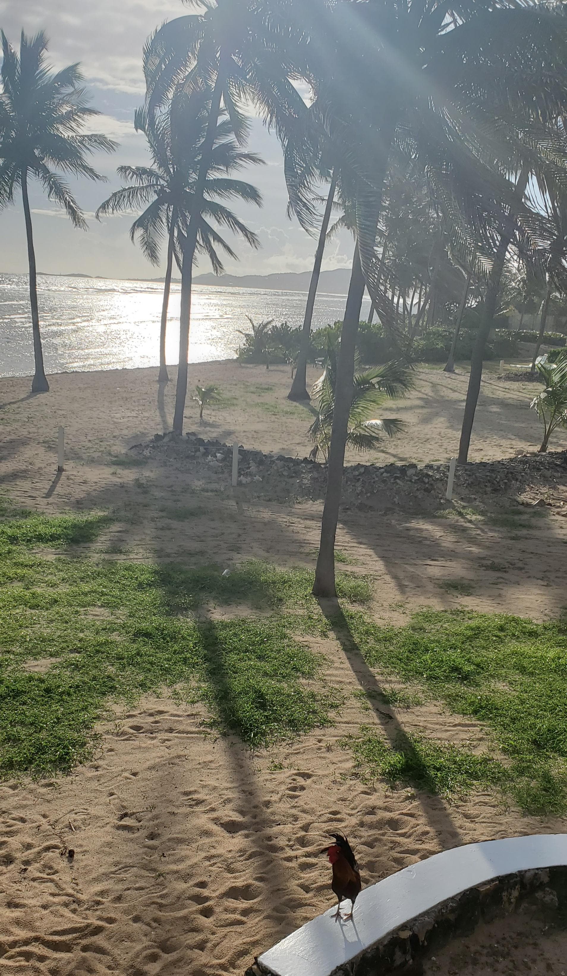 just steps away from the crystal blue water