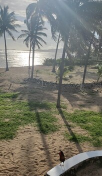 just steps away from the crystal blue water