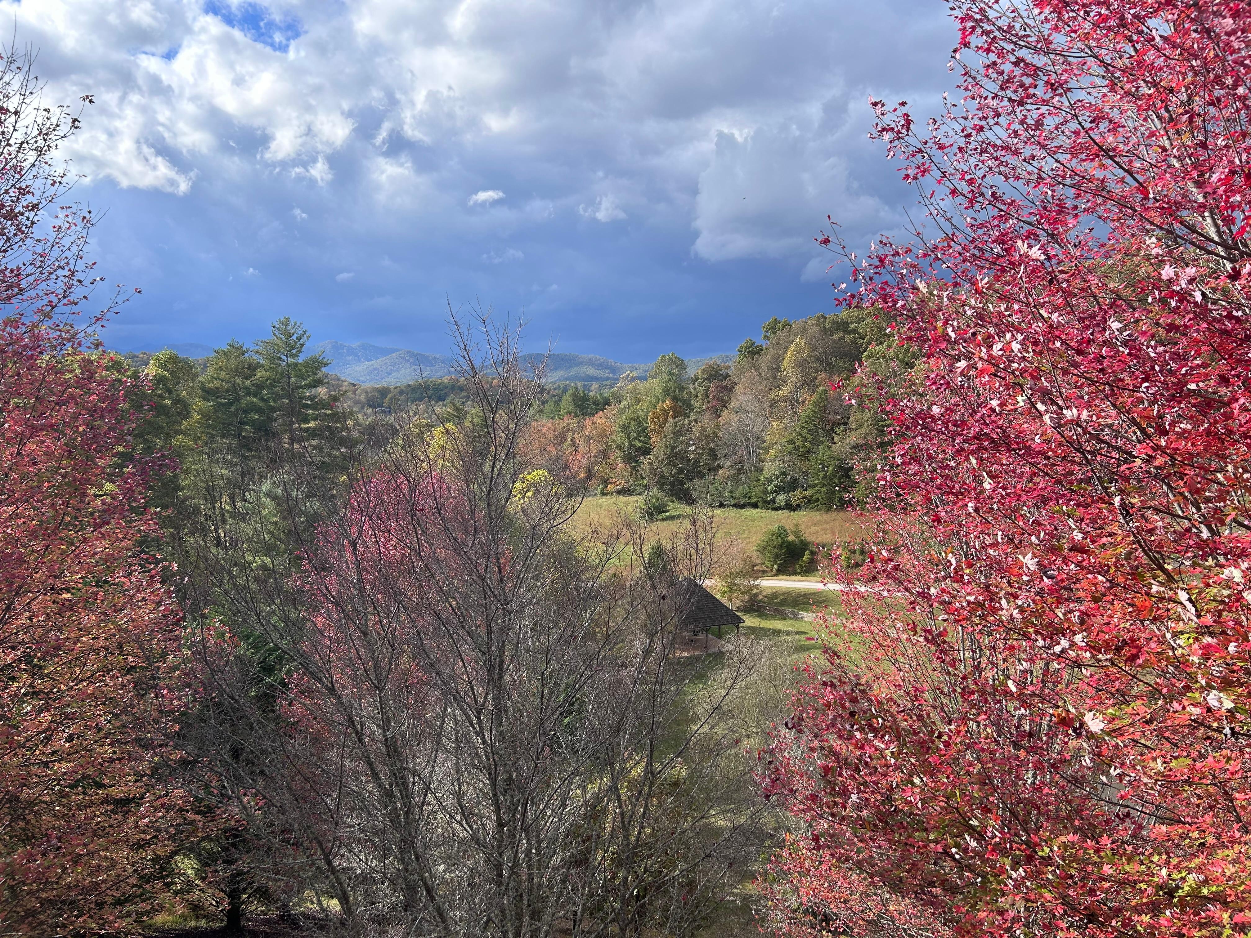 View from the back deck
