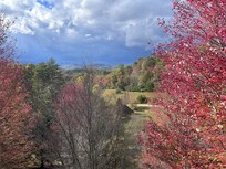 View from the back deck