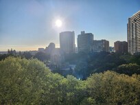 View from our balcony in the morning.