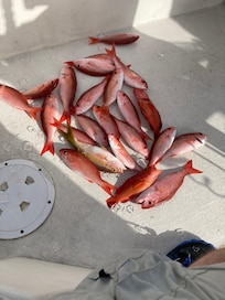 Neptune fishing charters hooked us up!