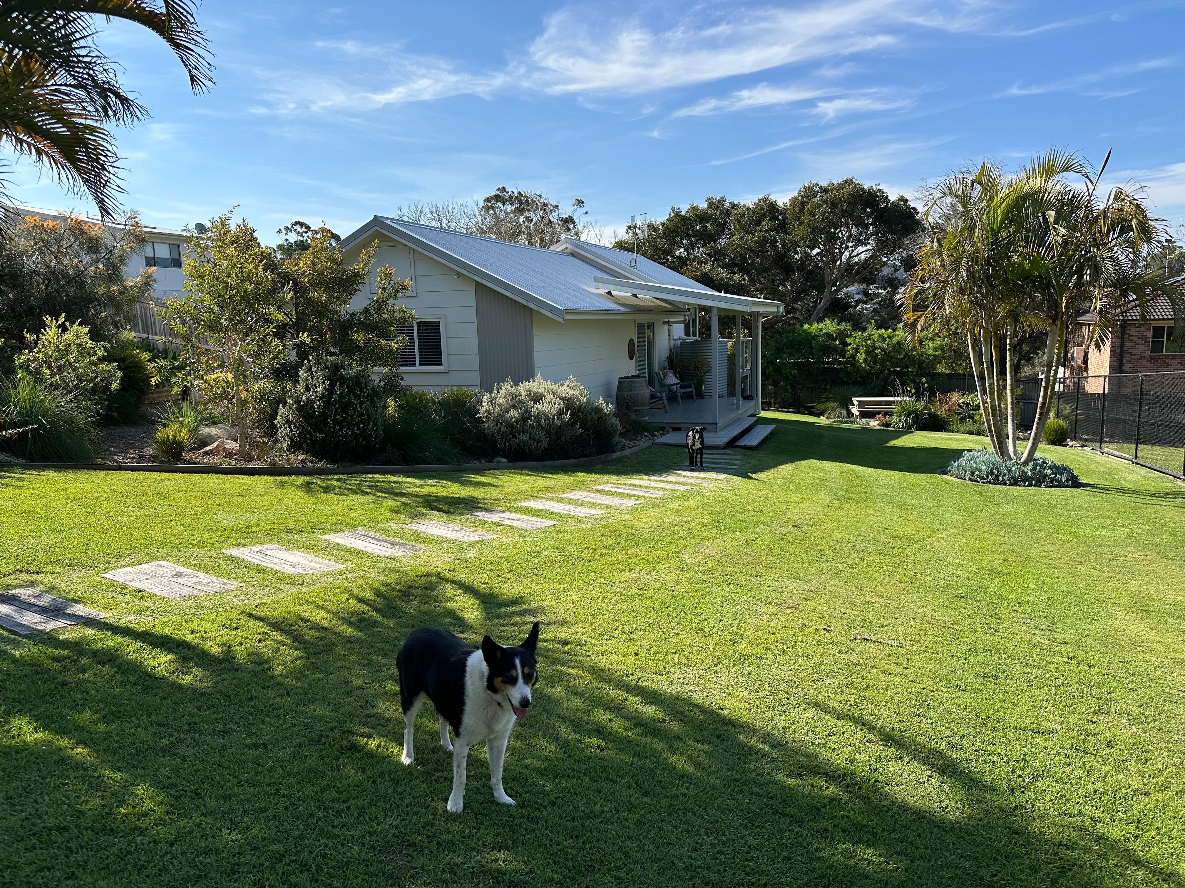 Wonderful fully fenced yard