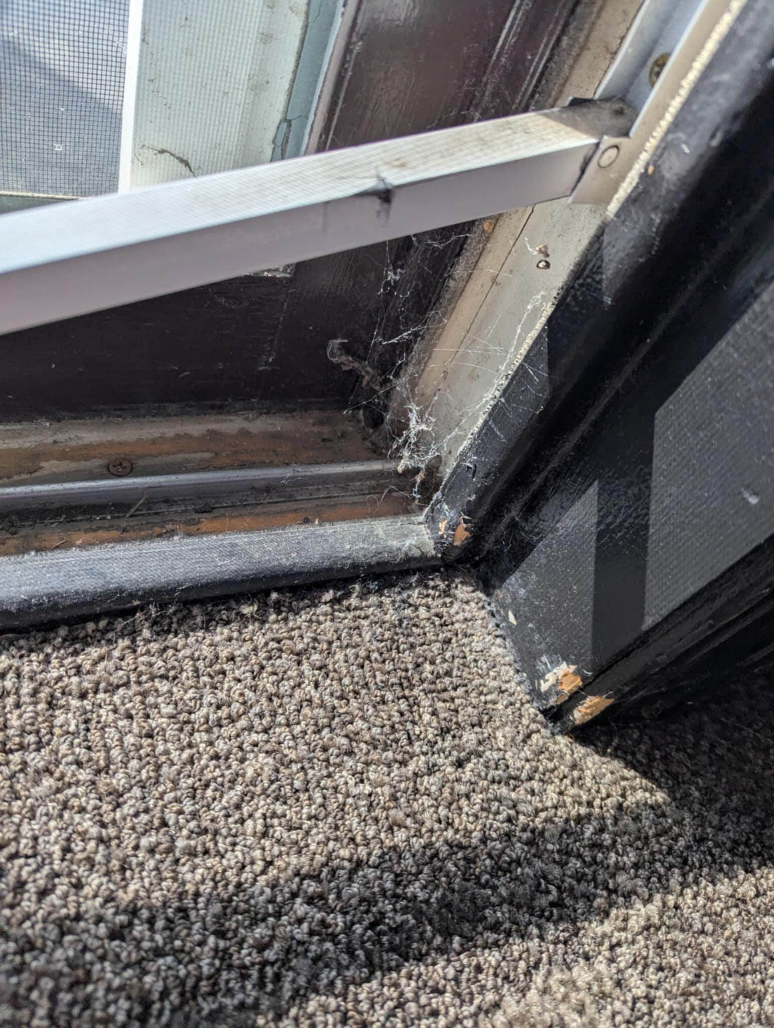 inside balcony door spider web