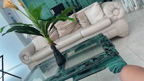 You can see the flies and dirtiest couch