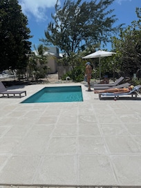 The pool in the back.