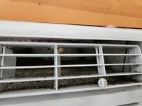 Moldy AC in the king room
