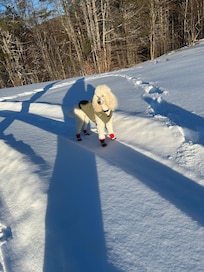 More snow shoeing fun
