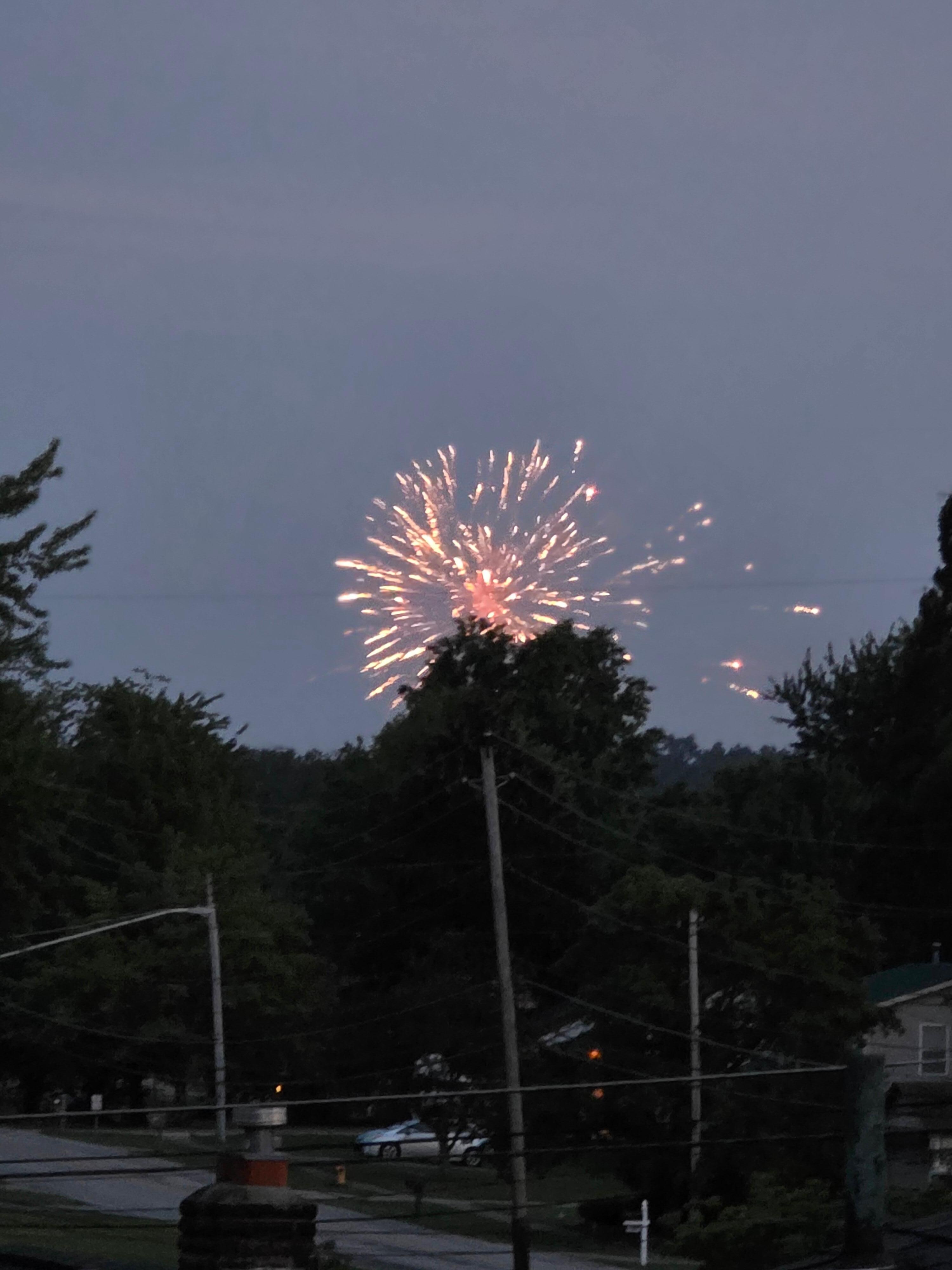 From the back porch. 