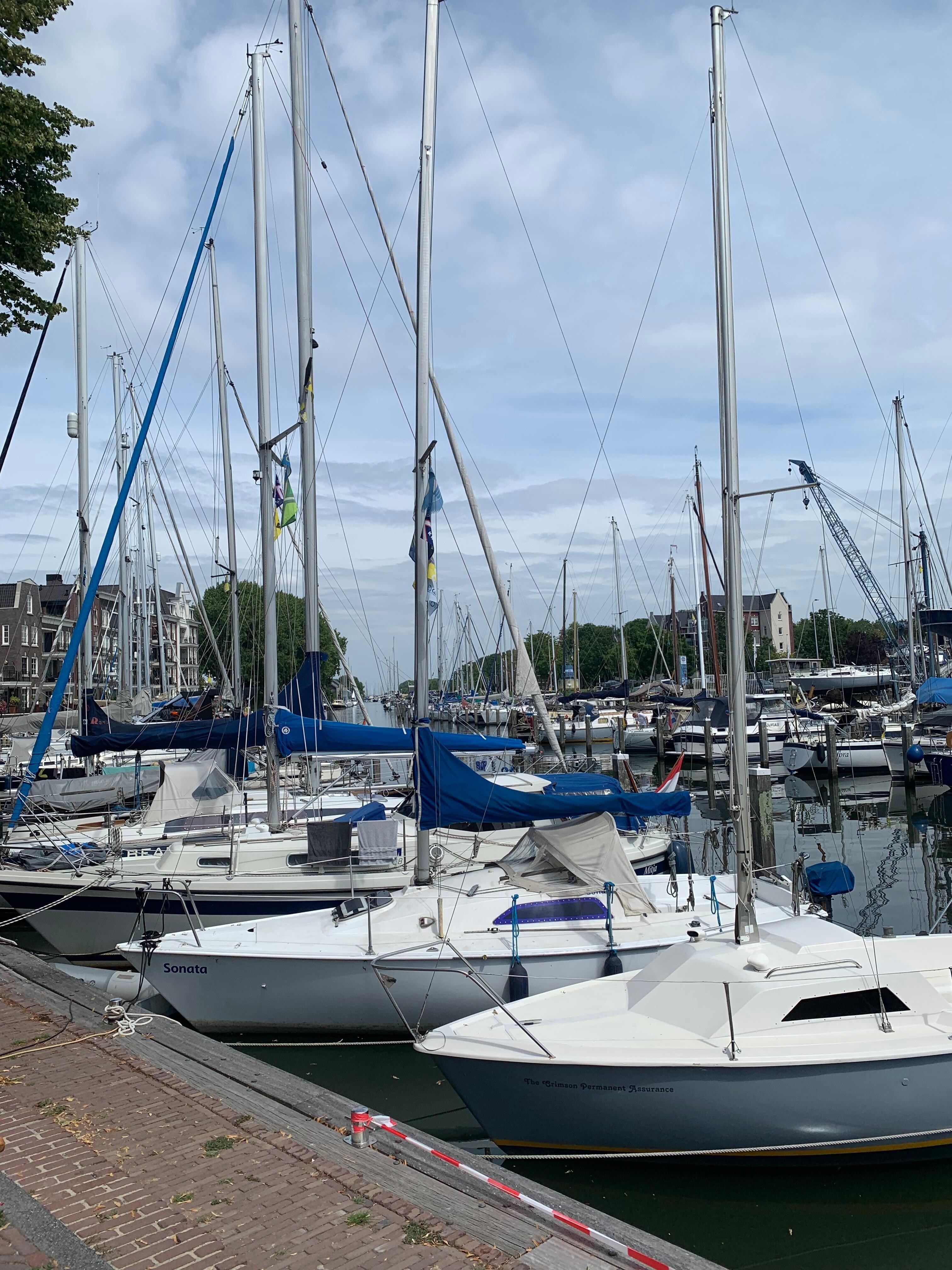 Middelharnis