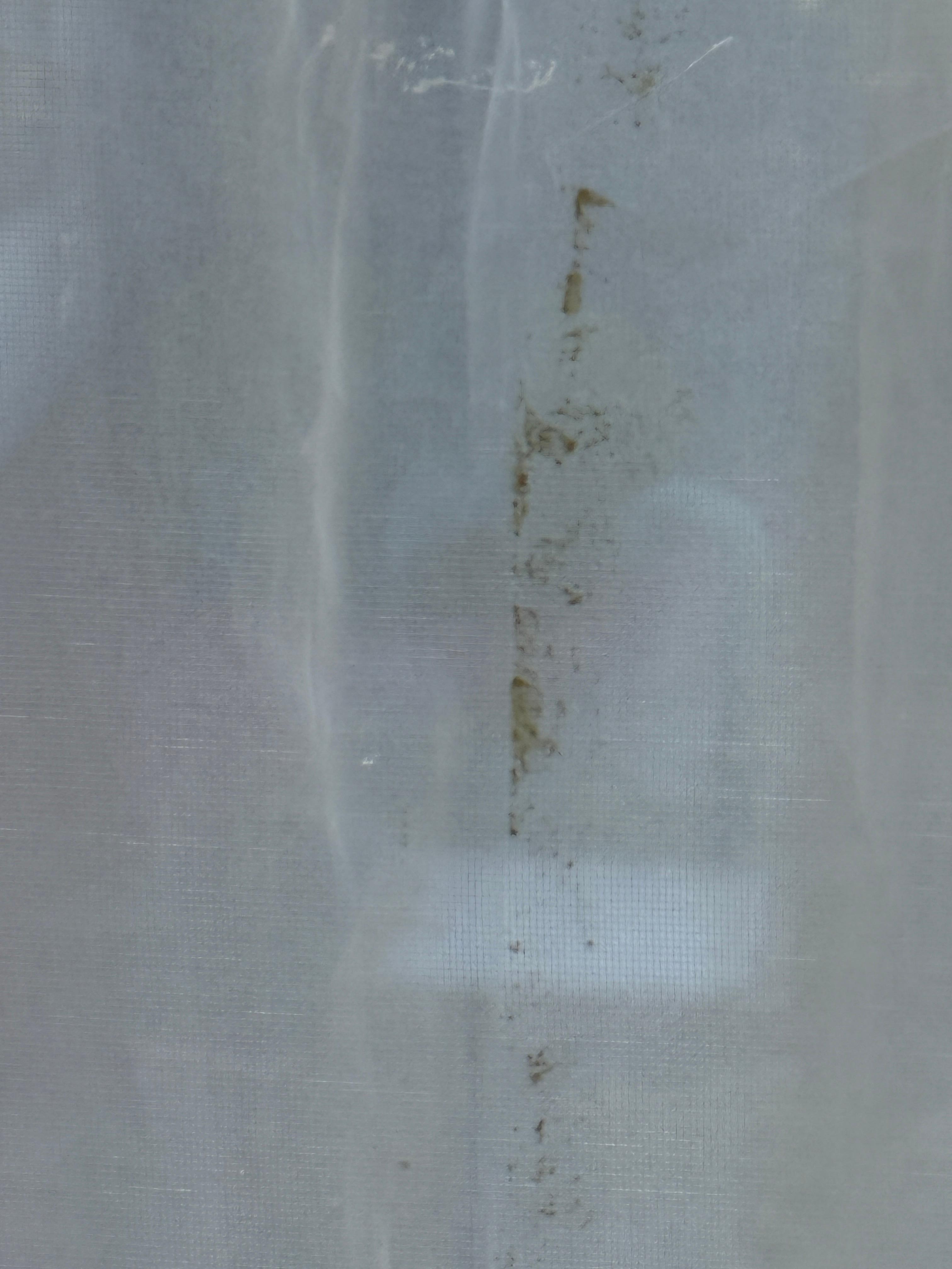 Mold on curtains
