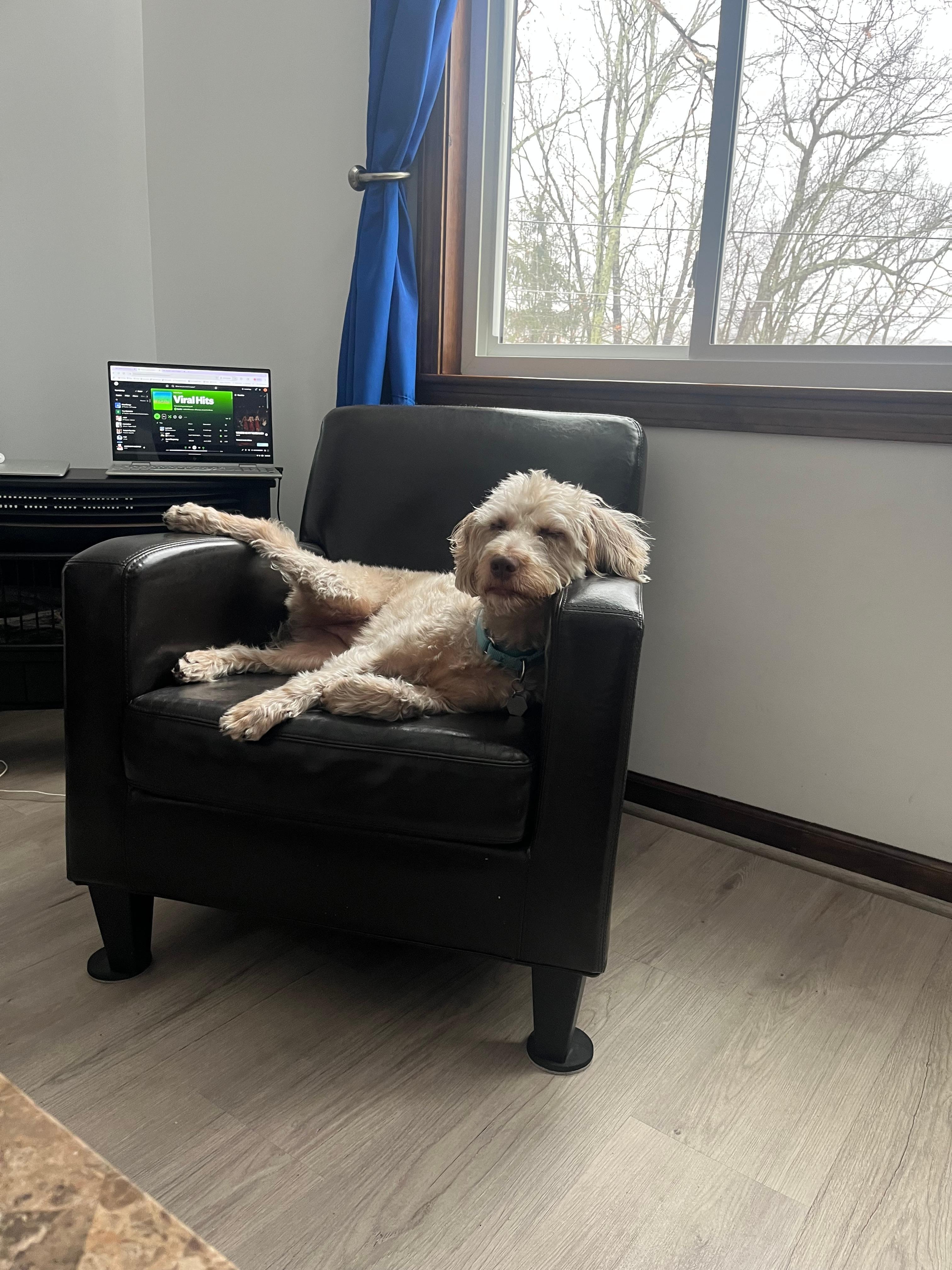 Even the dogs enjoyed their stay