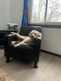 Even the dogs enjoyed their stay