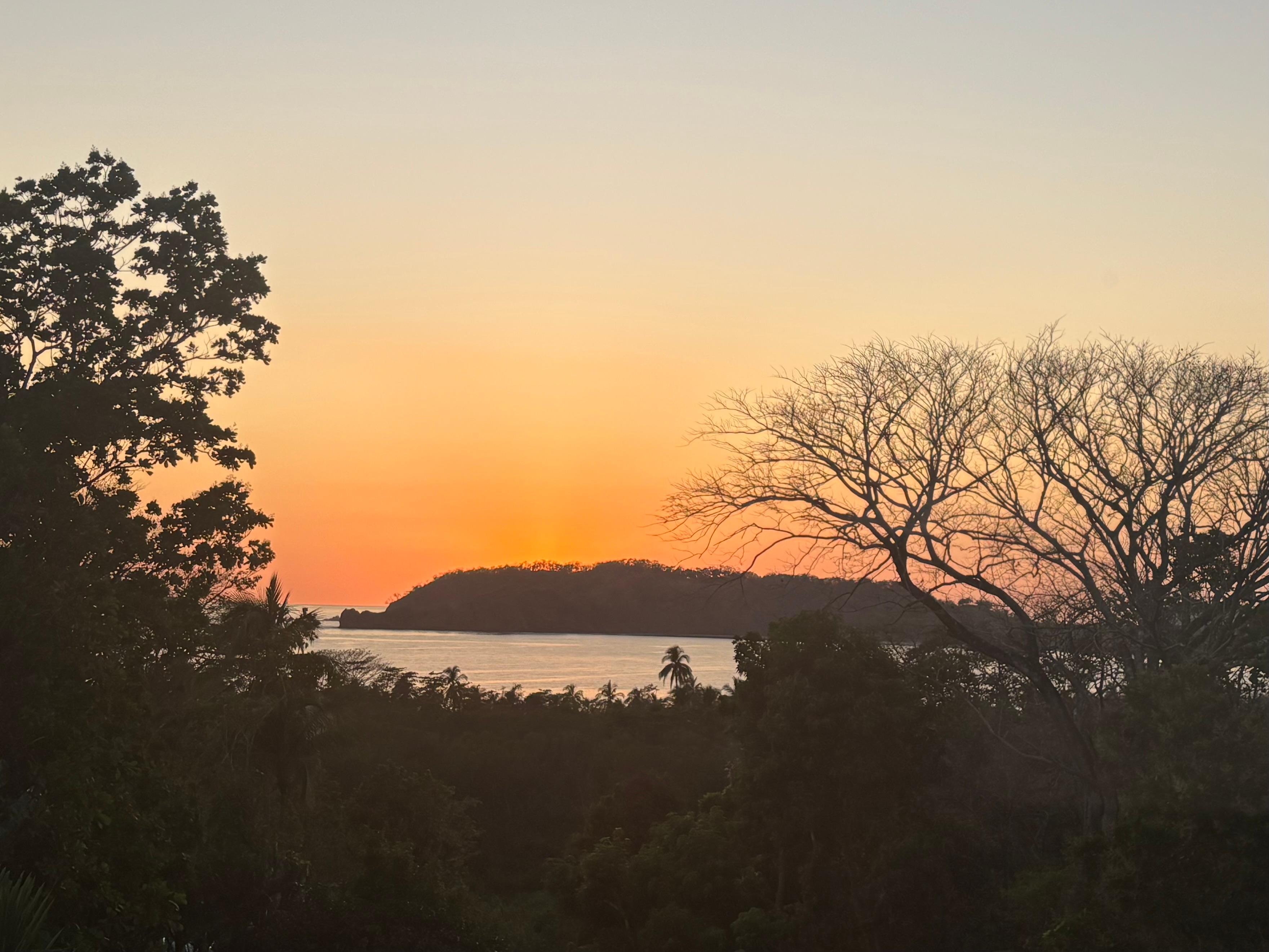 From the apartment window